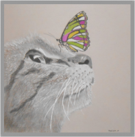 /album/galerie-de-photos-animaux/capture-2-png/